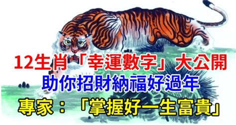 屬虎的幸運數字|12生肖「幸運數字」曝光！專家：掌握好一生富貴